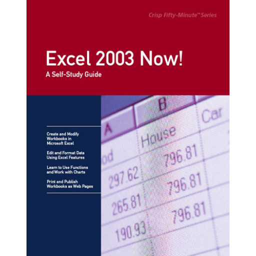 Excel 2003 Now!
