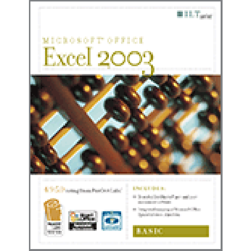 Excel 2003: Basic 2nd Edition Student Manual