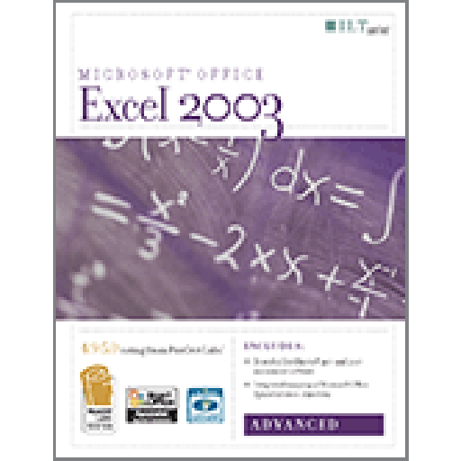 Excel 2003: Advanced 2nd Edition Student Manual