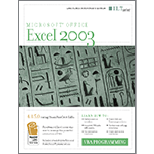 Excel 2003: VBA Programming 2nd Edition Instructor's Edition