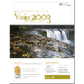 Visio Professional 2003: Basic 2nd Edition Student Manual