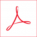 Acrobat 8 Professional: Advanced ACE Edition Instructor's Edition