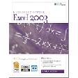 Excel 2003: Advanced 2nd Edition Student Manual